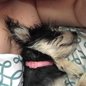 Meet your Posher, Gabriel